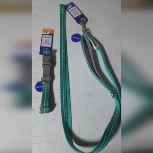 Top Paw Teal Reflective Dog Collar and Leash Set